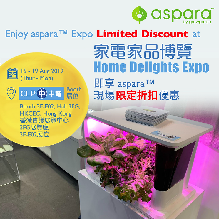 Home Delights Expo