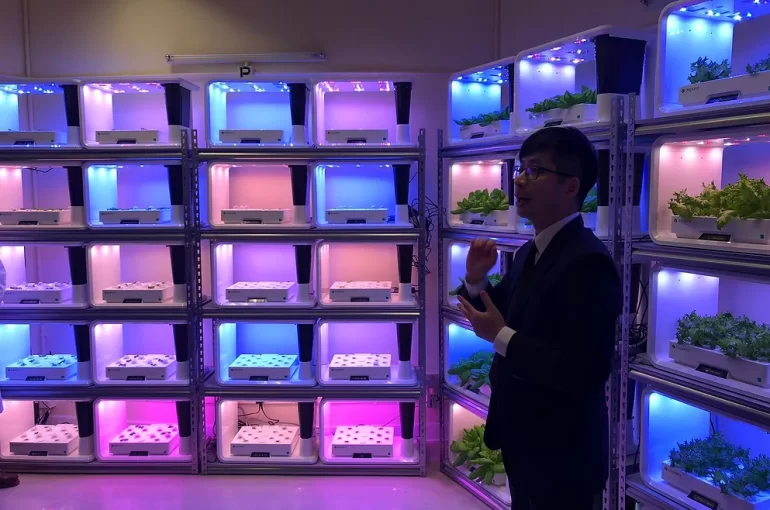 Suga Research Lab for Sustainable Urban Green Agriculture in PolyU