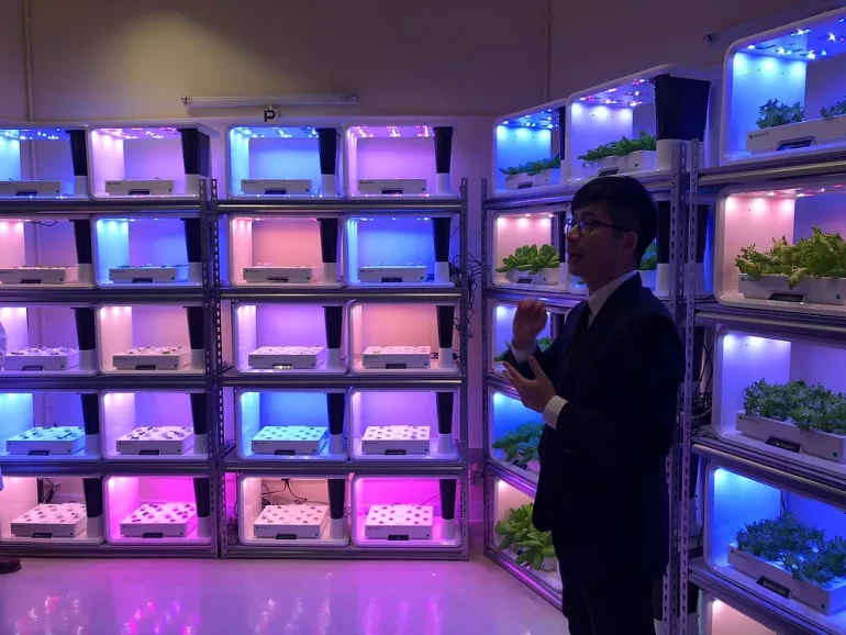 Suga Research Lab for Sustainable Urban Green Agriculture in PolyU