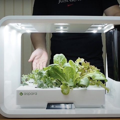 Unboxing PerfectPrime aspara AS1001WH Hydroponic Smart Grower
