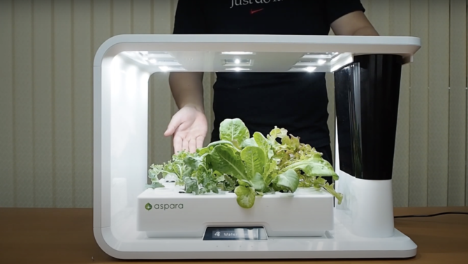 Unboxing PerfectPrime aspara AS1001WH Hydroponic Smart Grower