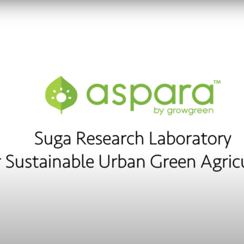 aspara® | Suga Research Laboratory for Sustainable Urban Green Agriculture