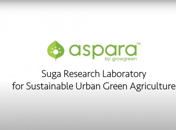 growgreen-youtube-4