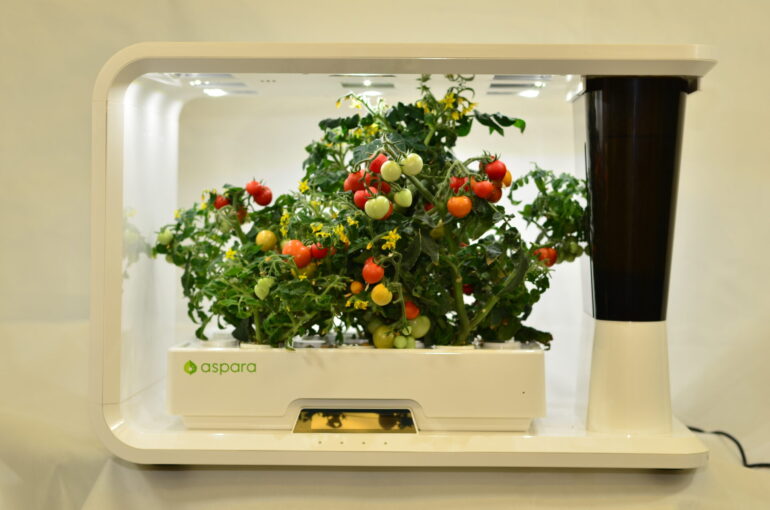 Hydroponic System – Smart Indoor Gardening System: Hydroponic System