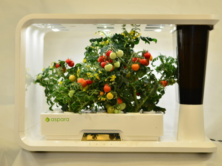 Hydroponic System – Smart Indoor Gardening System: Hydroponic System