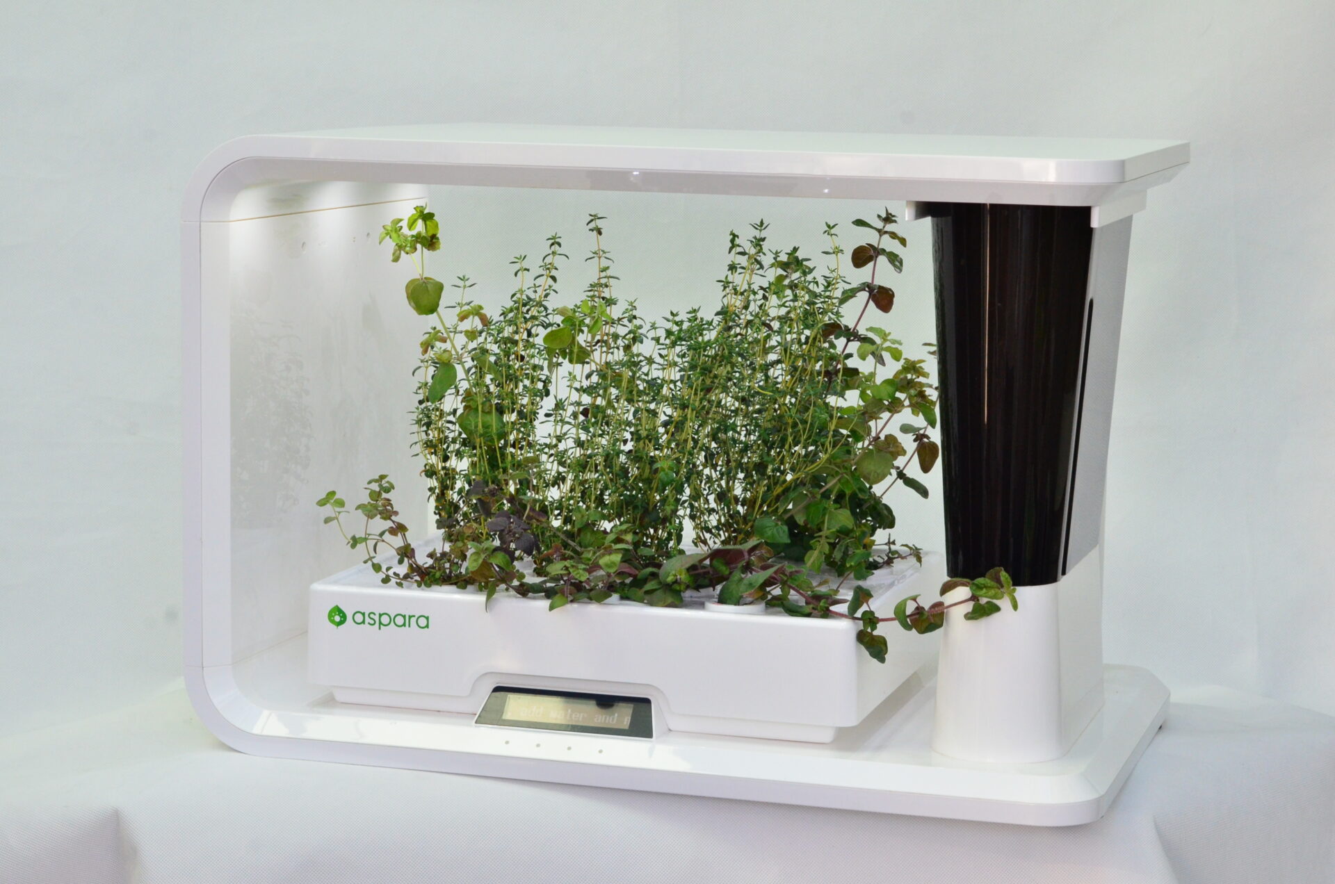 growgreen_hydroponic-system_seed-kit_herbs_04.1