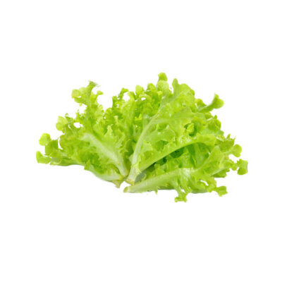 1 green letttuce