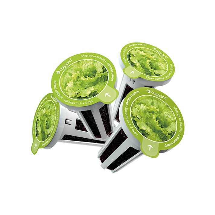 3 green letttuce cap