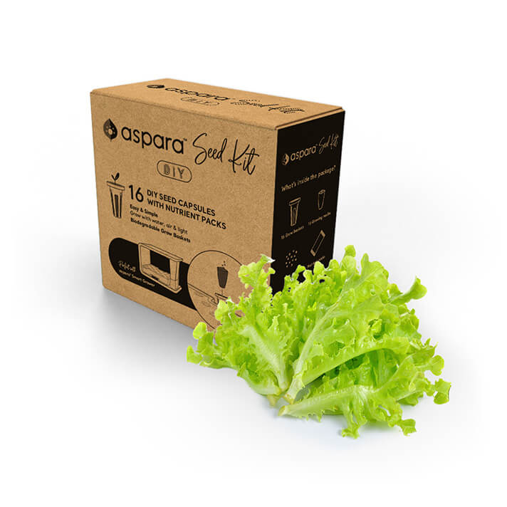 5 Green lettuce DIY