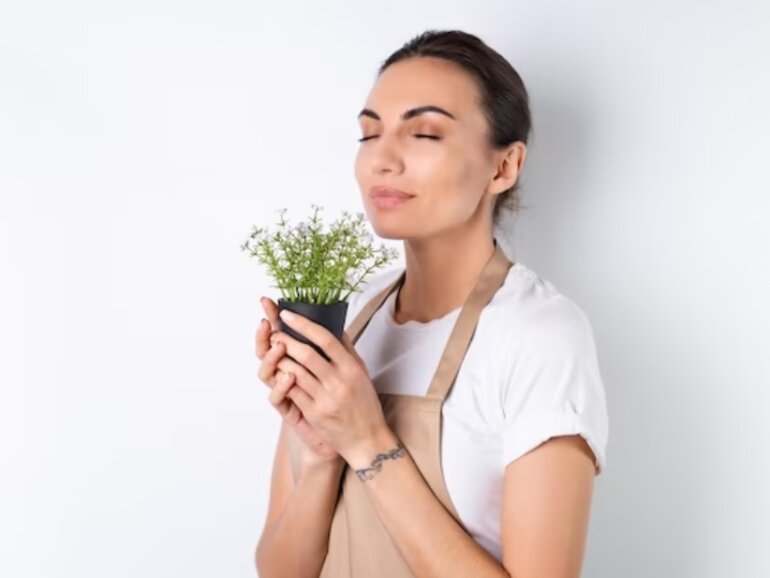 Herb Garden Indoor | How To Harvest Herbs From A Herb Garden Indoor