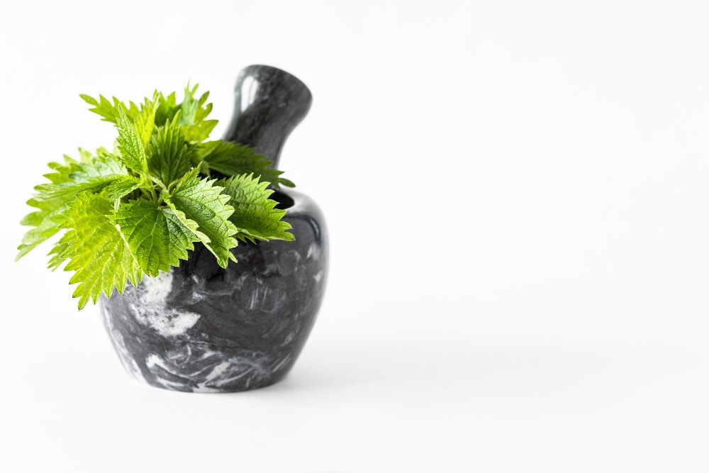 herb_garden_indoor_growgreen_360.1.jpg