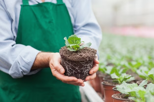 Herb Garden Indoor | 9 Things Your Parents Taught You About Herb Garden Indoor