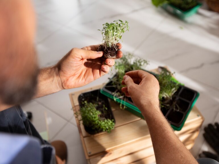 Herb Garden Indoor Offers A Cost-Effective Way To Get Fresh Herbs