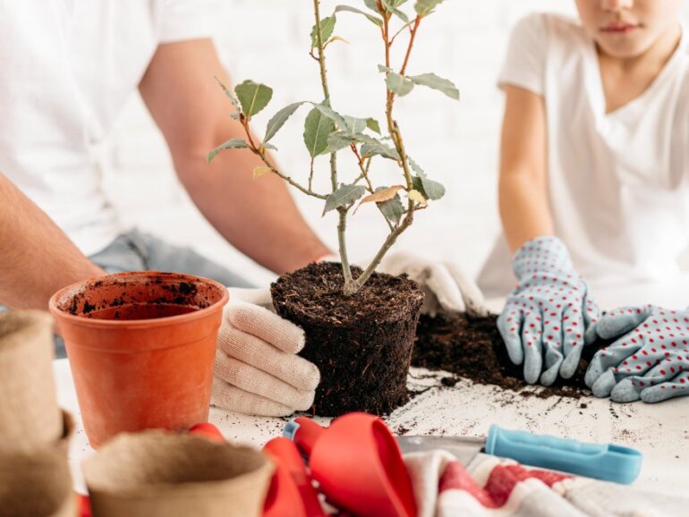 Herb Garden Indoor | The Key To A Happier And Healthier You Is A Herb Garden Indoor