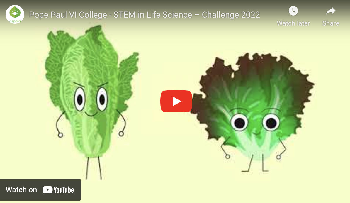 Pope Paul VI College - STEM in Life Science – Challenge 2022