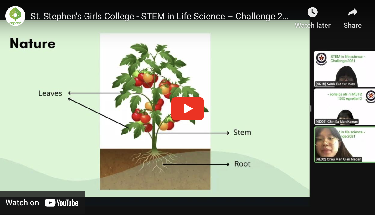 圣士提反女子中学 - STEM 教育（生活科学）挑战 2022